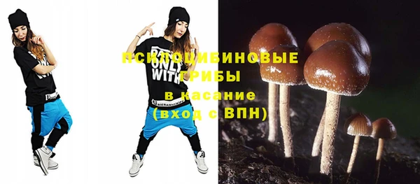 прущая мука Гусиноозёрск