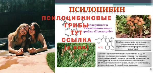гашишное масло Гусь-Хрустальный